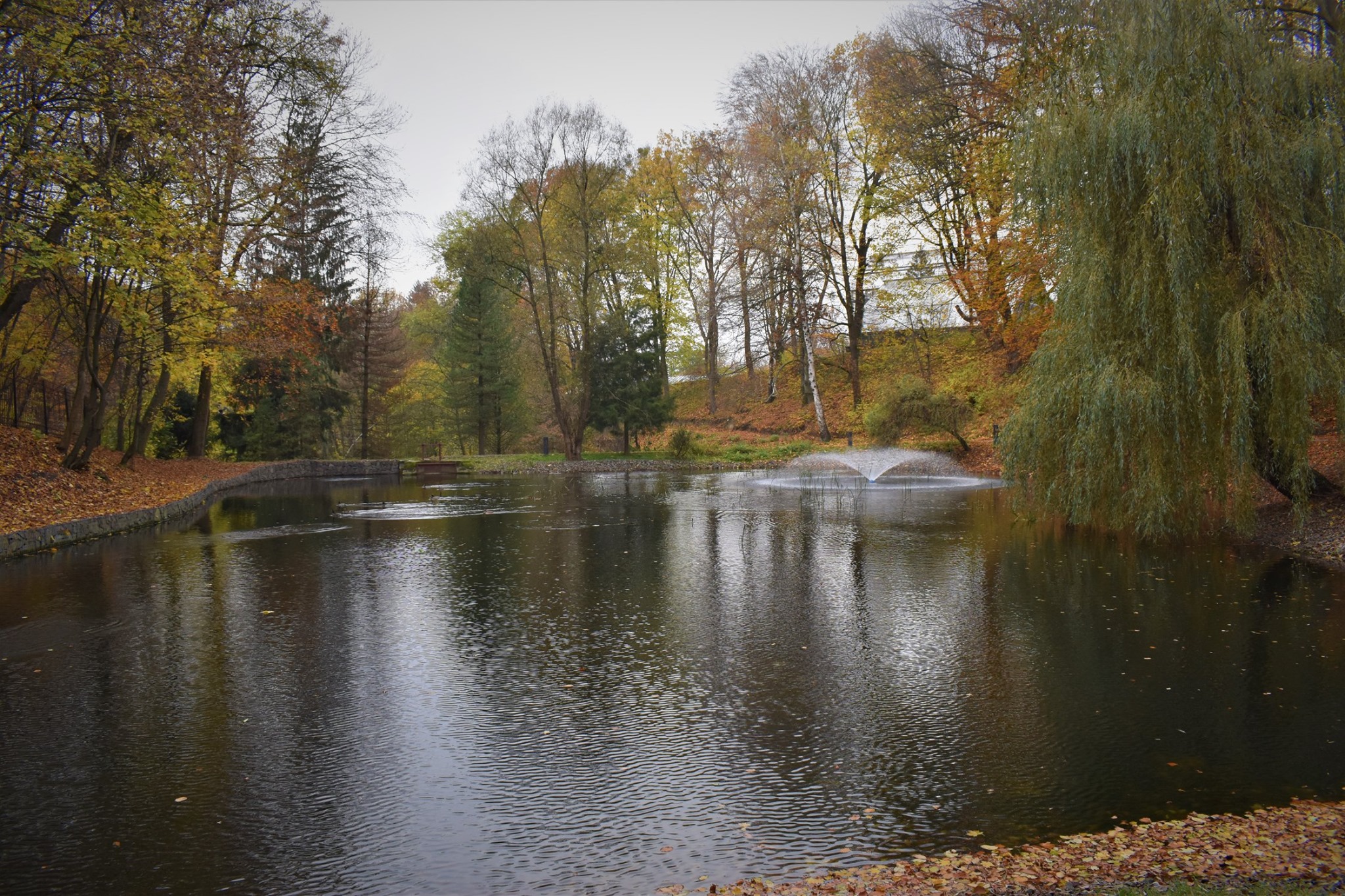 У львівському ботанічному саду реконструювали водойму. Фото: Львівська облдержадміністрація