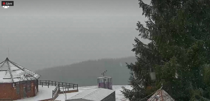 Буковель в снігу. Фото: скріншот з відео