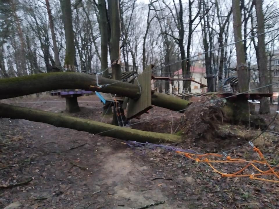 У львівському Парку культури буревій повалив дерева. Фото: Парку культури