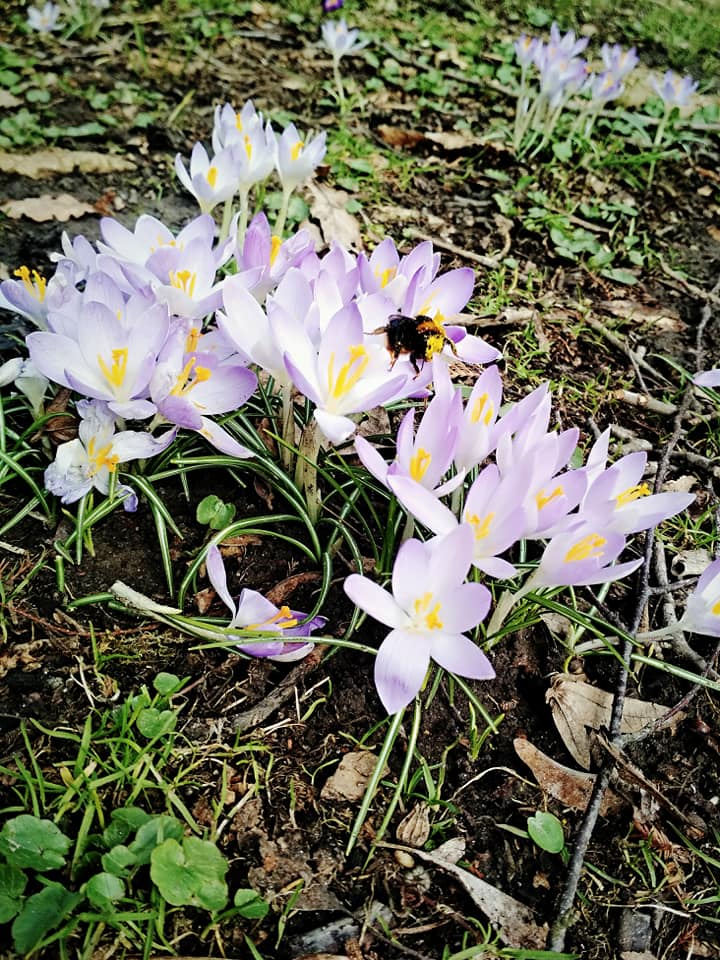 Фото: Yuriy Yusupov