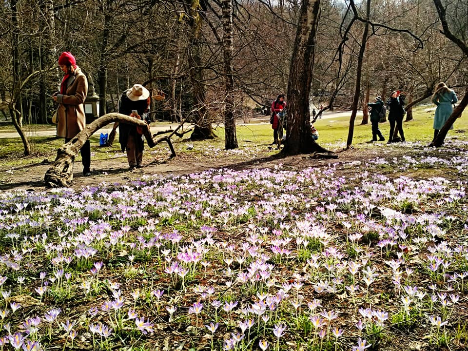 Фото: Yuriy Yusupov