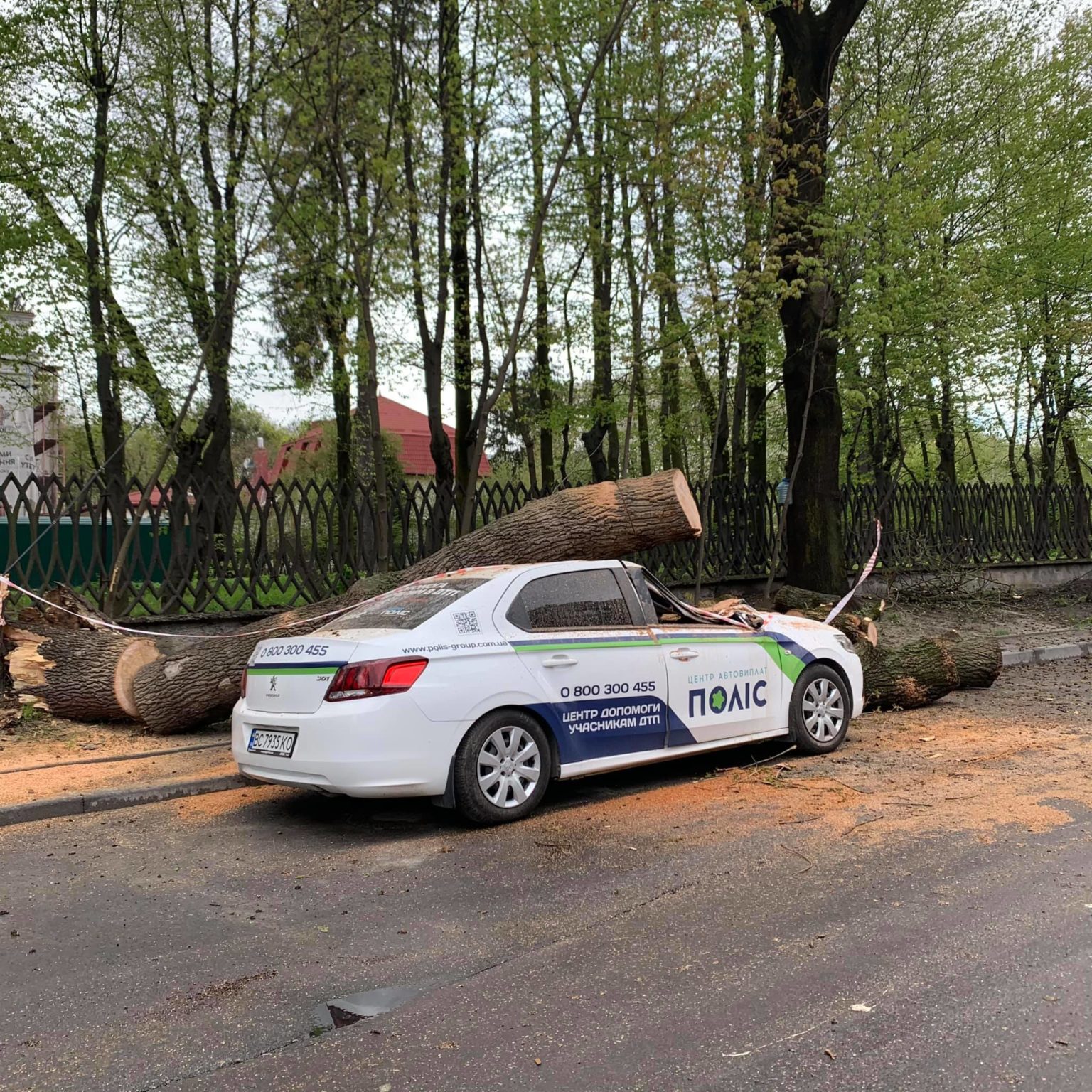 У Львові біля Стрийського парку дерево розтрощило автомобіль. Фото: Taras Bakiko