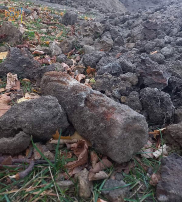 Фото: ДСНС Львівщини