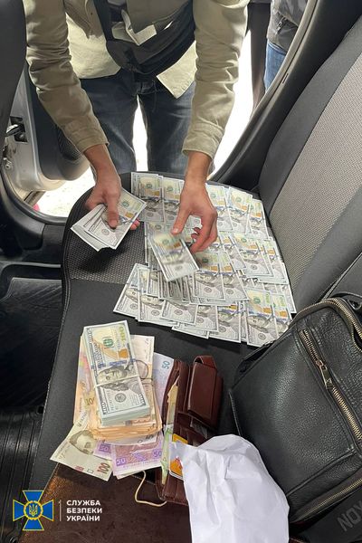 Двоє підприємців з Львівщини організували масштабну схему експорту лісу. Фото: Служба безпеки України