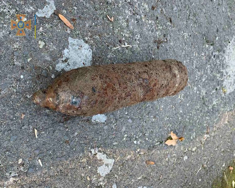 Фото: ДСНС Львівщини