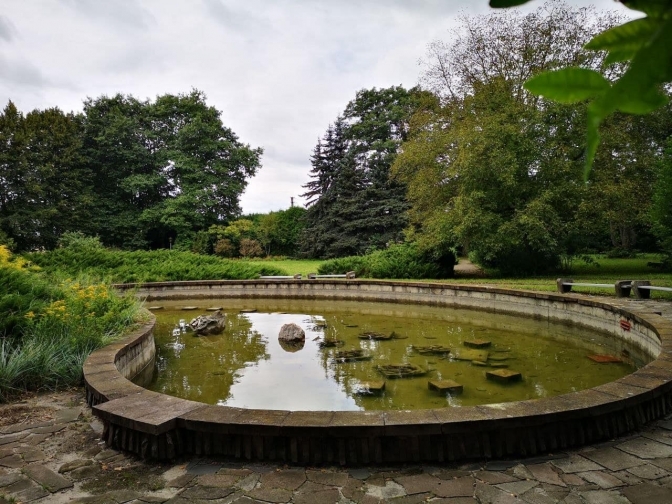 У Львові відкрили відділення для реабілітації пацієнтів після Covid-19. Фото: ЛШМД