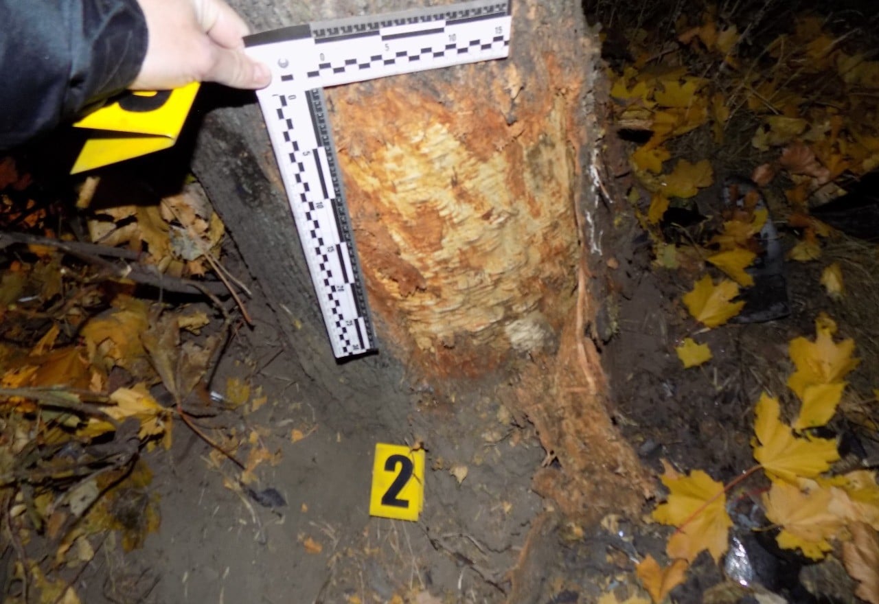 У Стрию п&rsquo;яний водій спричинив ДТП, двоє людей у лікарні. Фото: поліція Львівщини