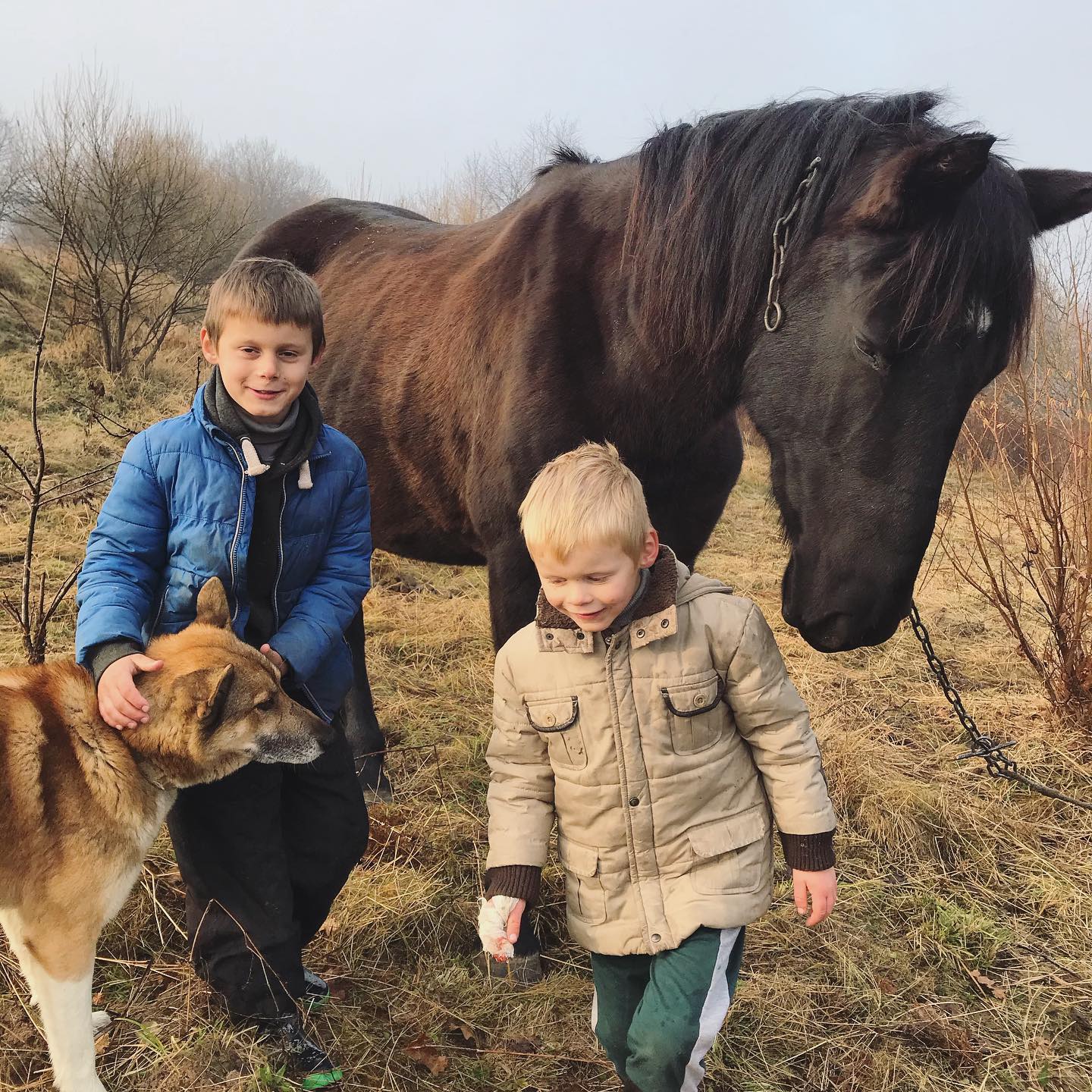 Фото: facebook.com/shenkel.lviv