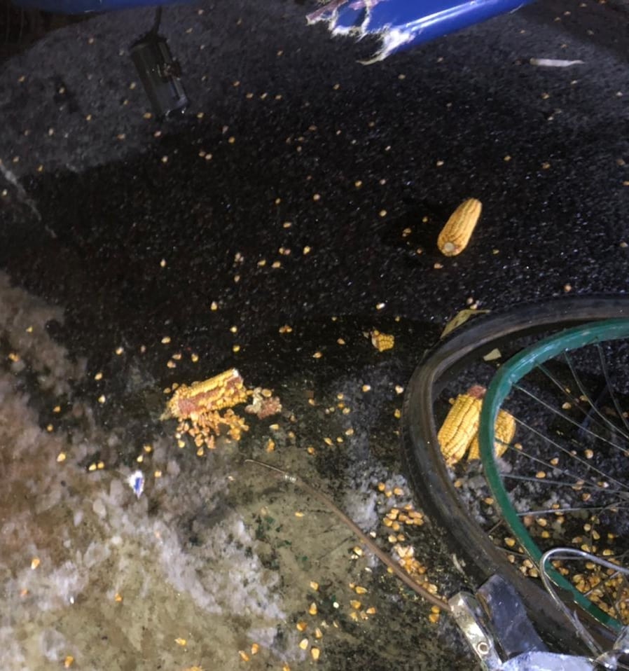 Фото: facebook.com/MVS.LVIV