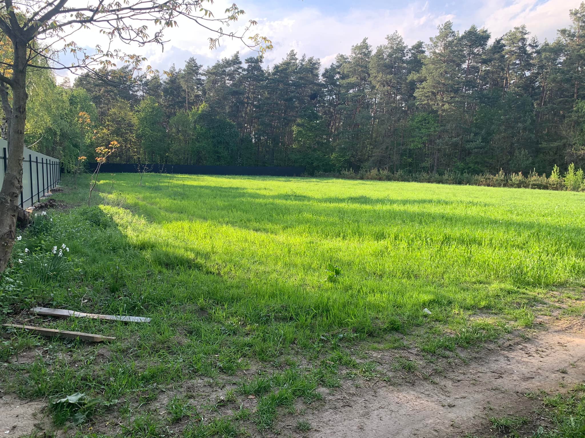 Біля Львова збудують новий притулок для тварин фото 1