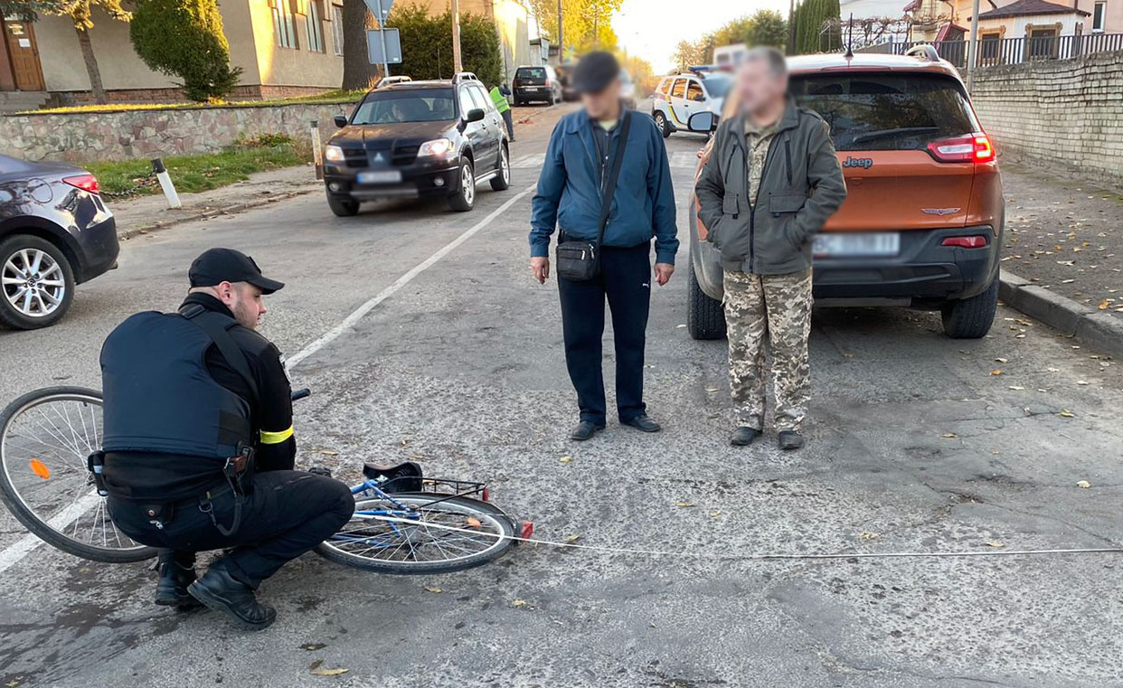 На Стрийщині за допомогою дрона розшукали зниклу під час збирання грибів жінку