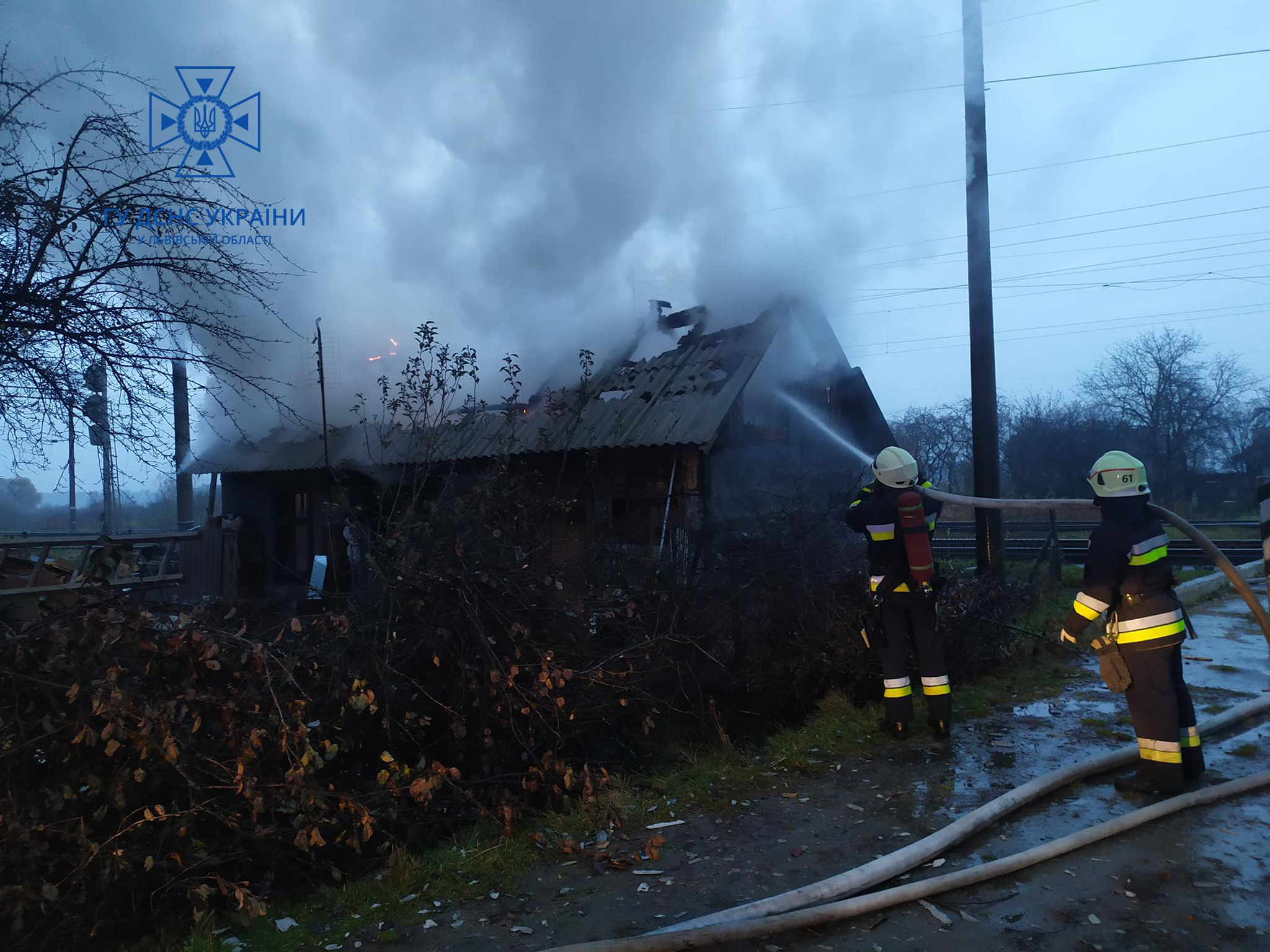 Під час пожежі неподалік Львова пожежники врятували свійських тварин