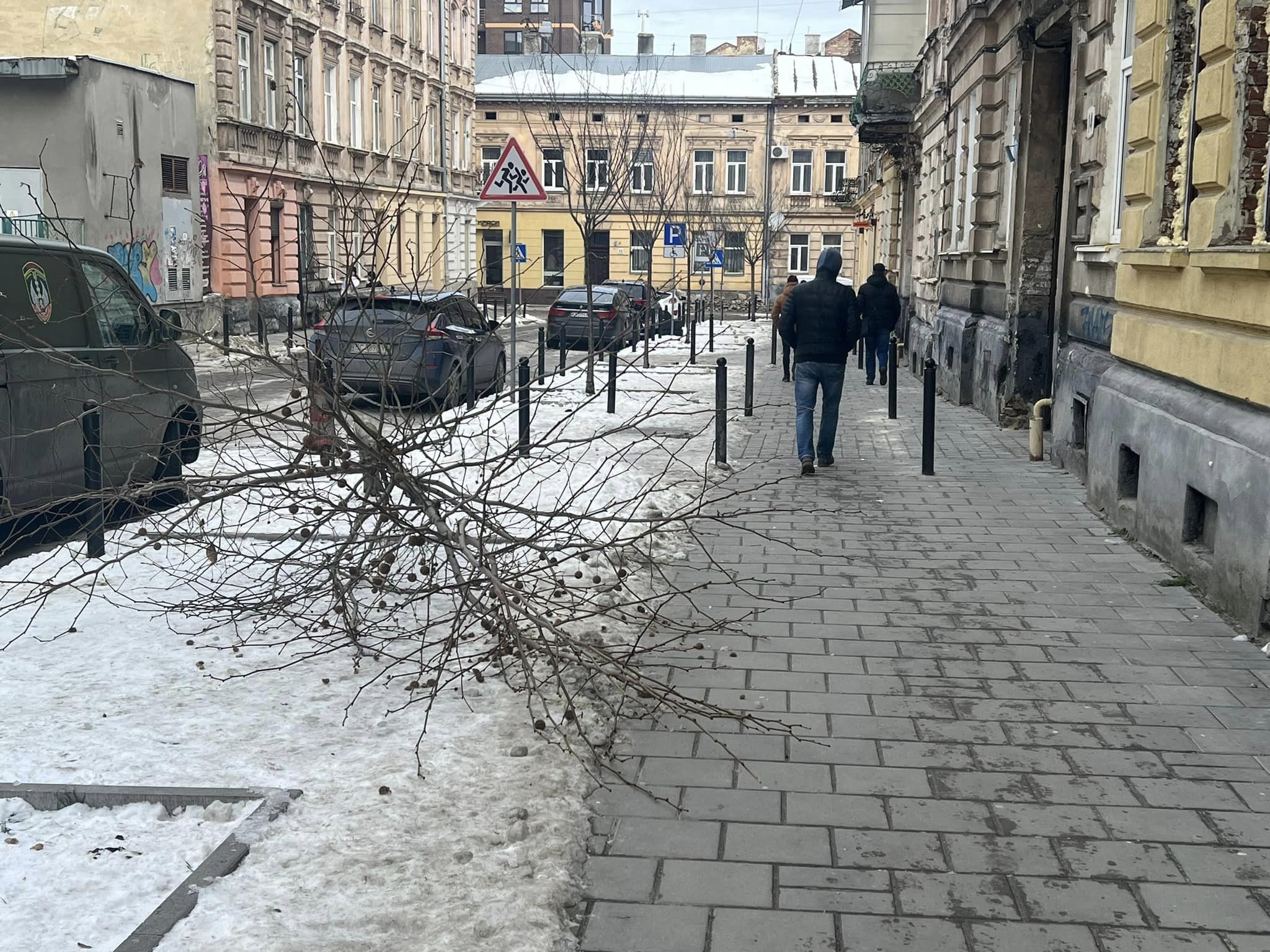 Двоє людей пилкою зрізали дерева на Котлярській