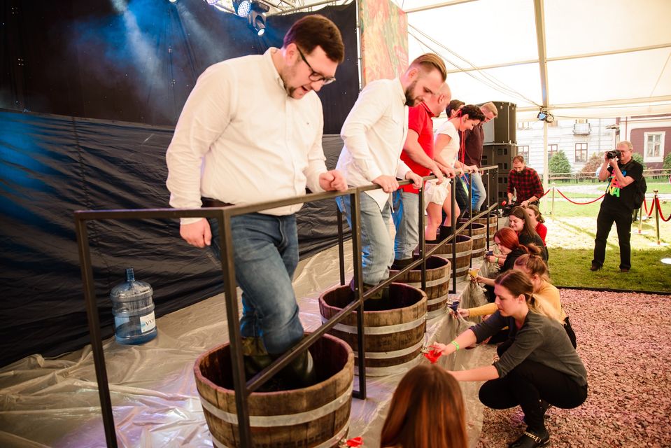 Свято Сиру і Вина у Львові 2020. Фото фестивалю