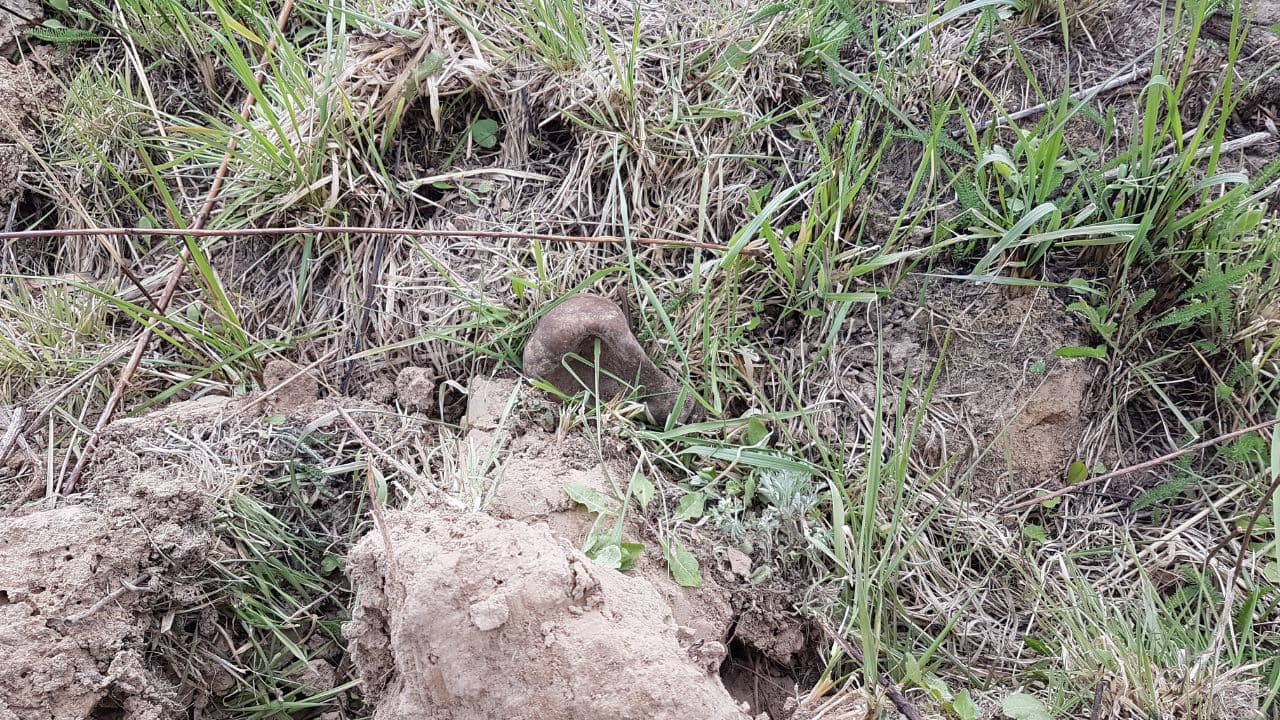 У Львові виявили понад 2,4 кілограми ртуті