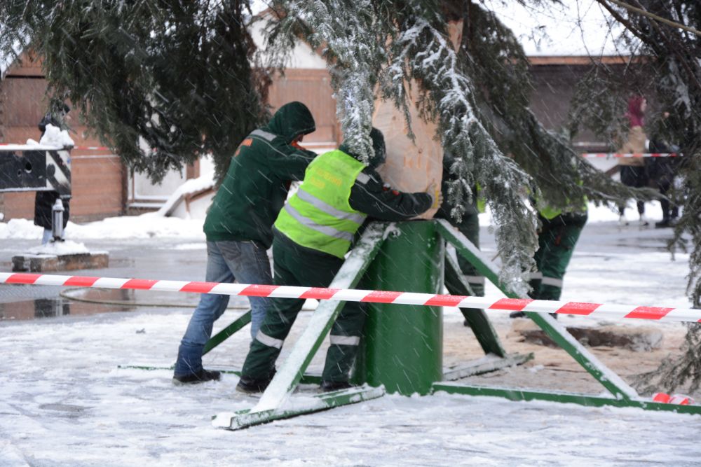 У центрі Львова встановили головну новорічну ялинку