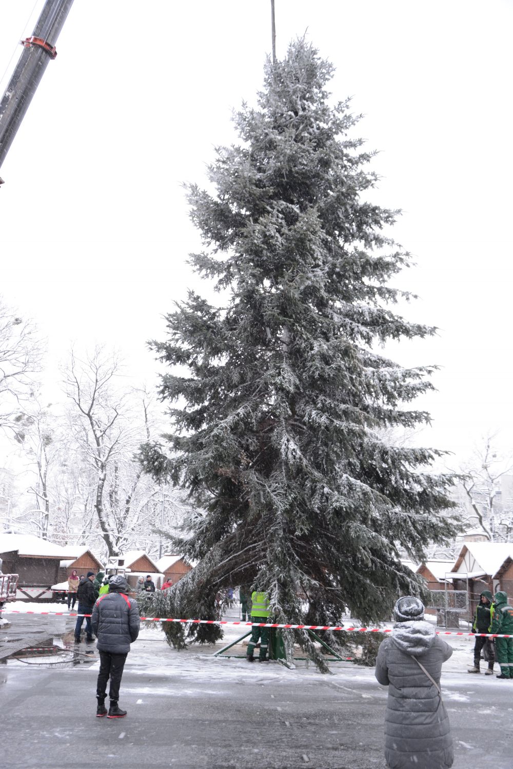 У центрі Львова встановили головну новорічну ялинку