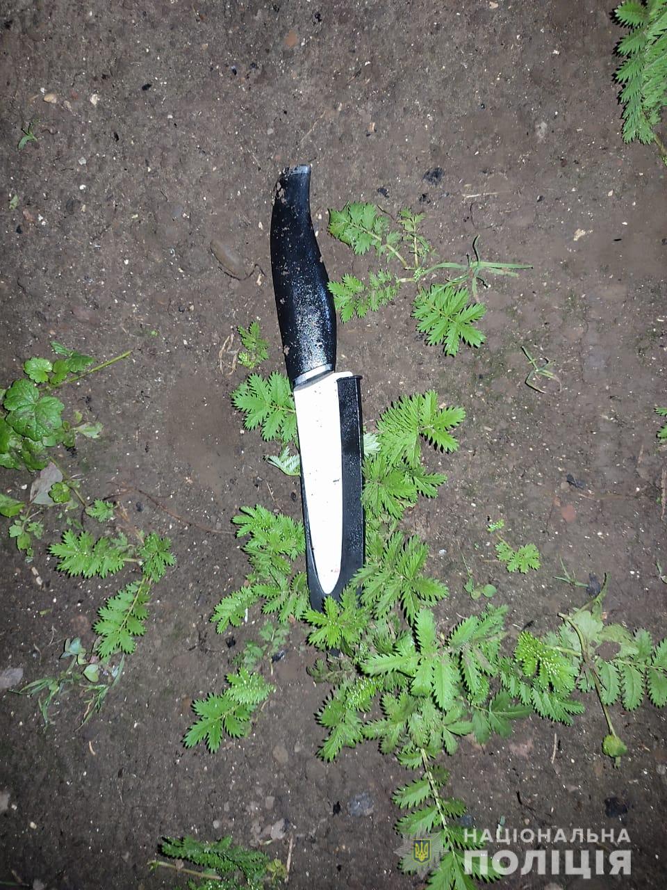 У Бориславі жінка зарізала співмешканця