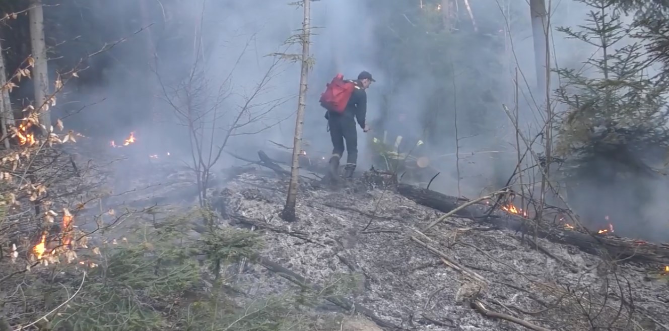 У Карпатах загорівся ліс