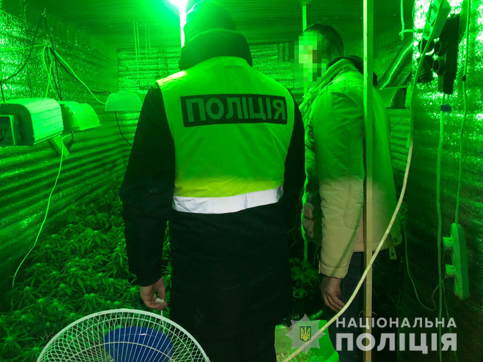 Біля Львова виявили погріб із оранжерею конопель