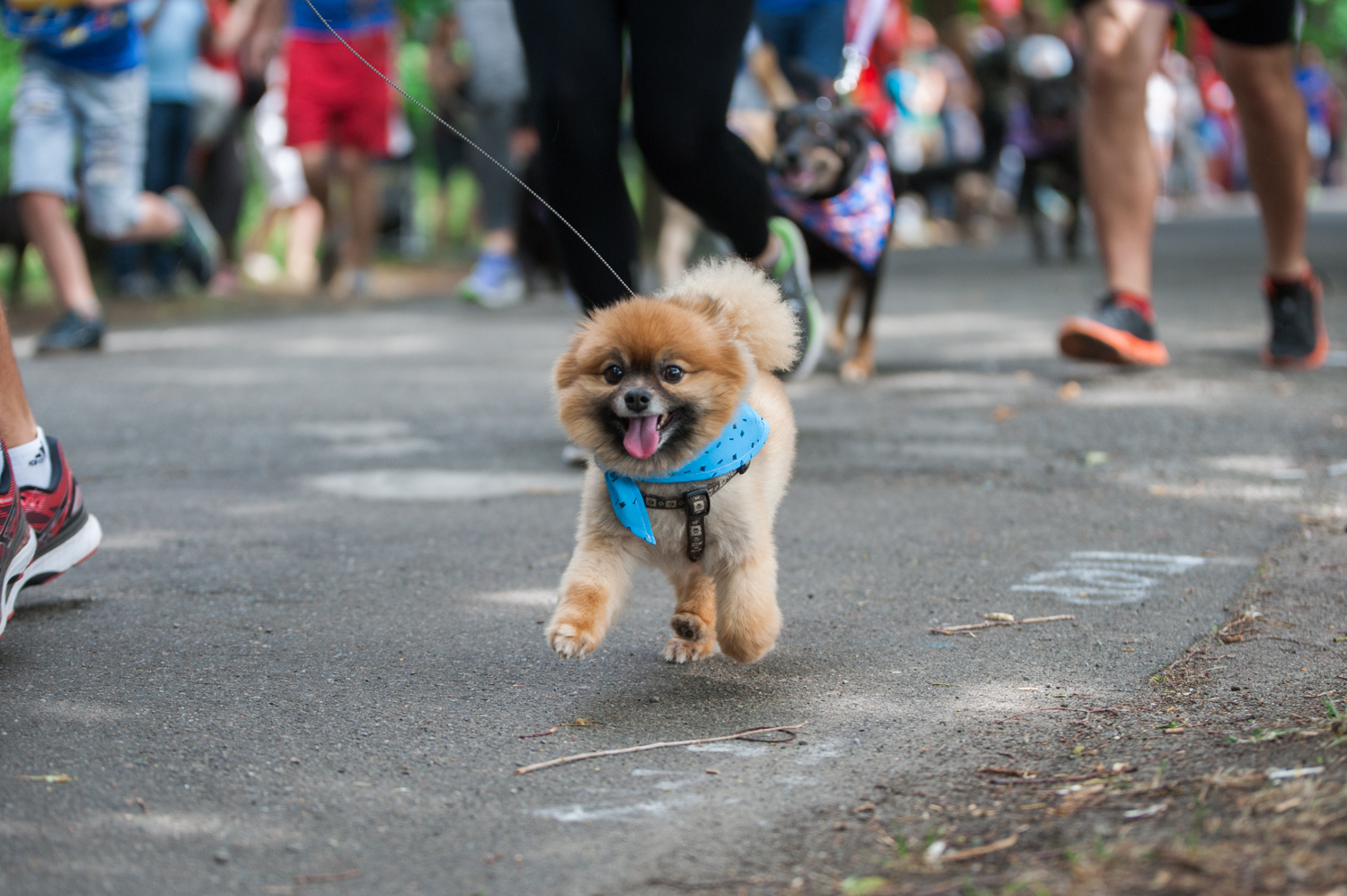 Фото: hmarochos.kiev.ua.jpeg
