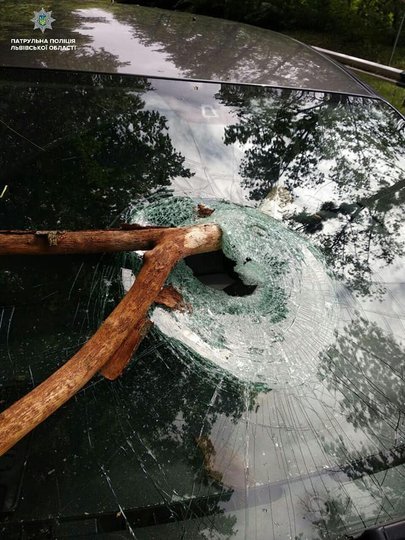 Львів’янин відсудив 91,2 тисячу гривень за пошкодження автомобіля через падіння гілки. Фото: поліція
