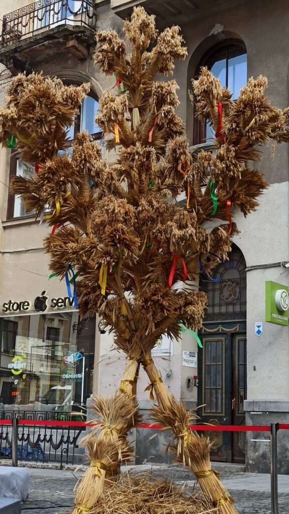 У Львові традиційно встановили Різдвяного Дідуха
