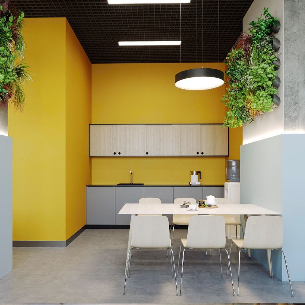 У Львові відкриють новий простір MOLO Голоско