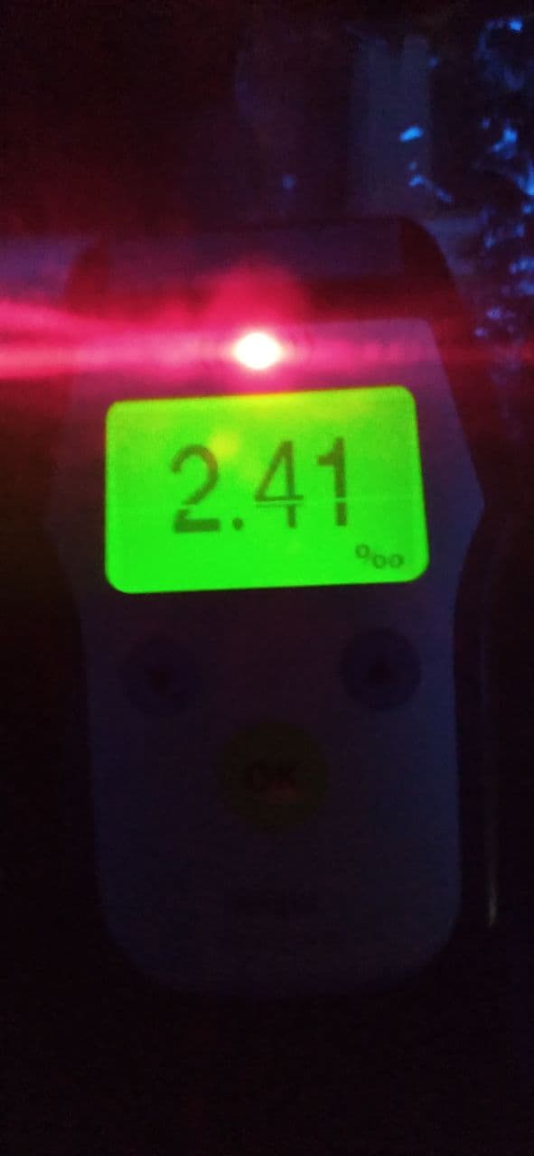 Фото: Pitbull Lviv