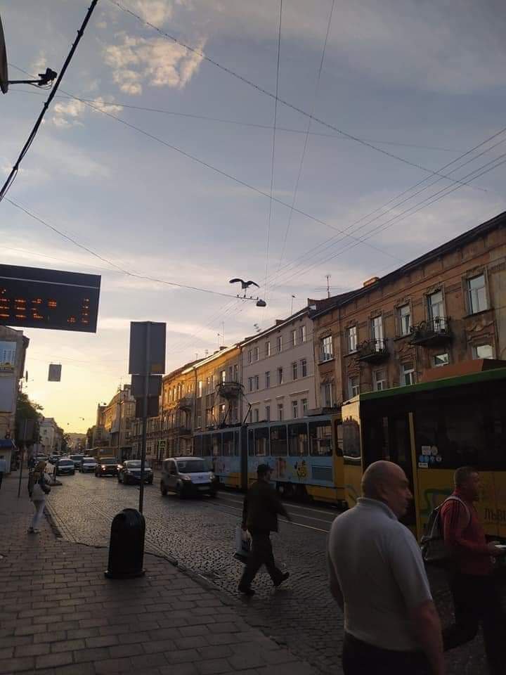 Фото: city-adm.lviv.ua