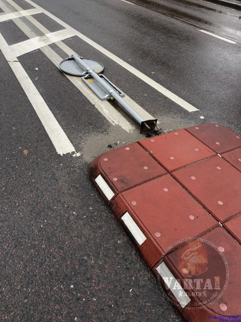 У Львові вітер повалив дерева. Фото: Варта1