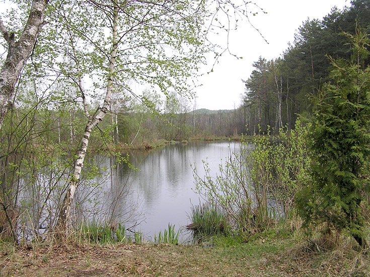 Чорні озера. Фото: karpaty.info