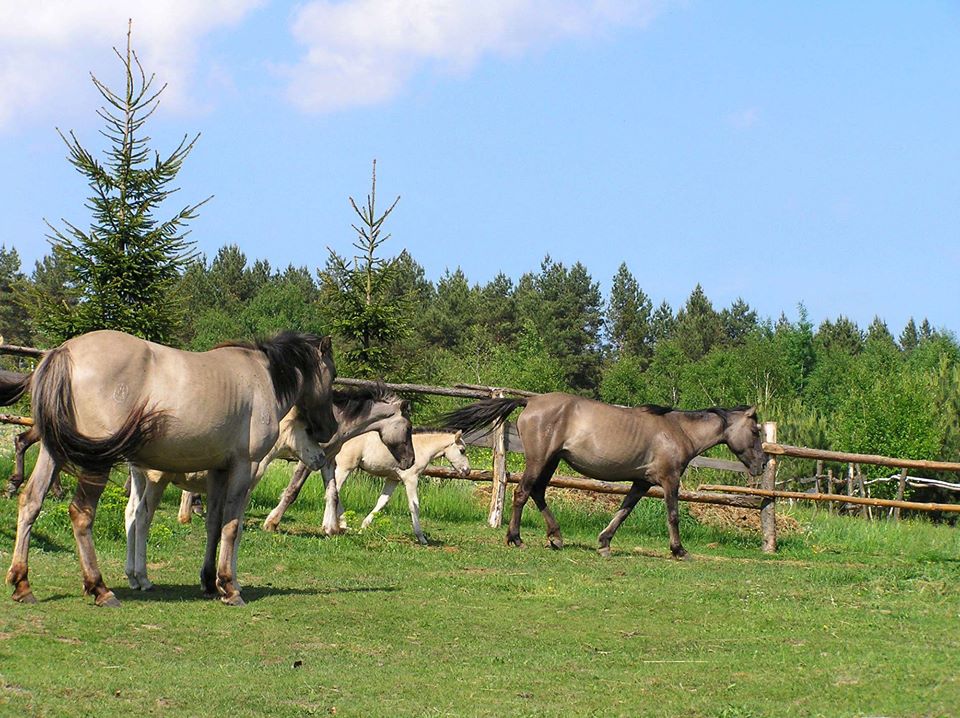Фото Яворівського національного природного парку