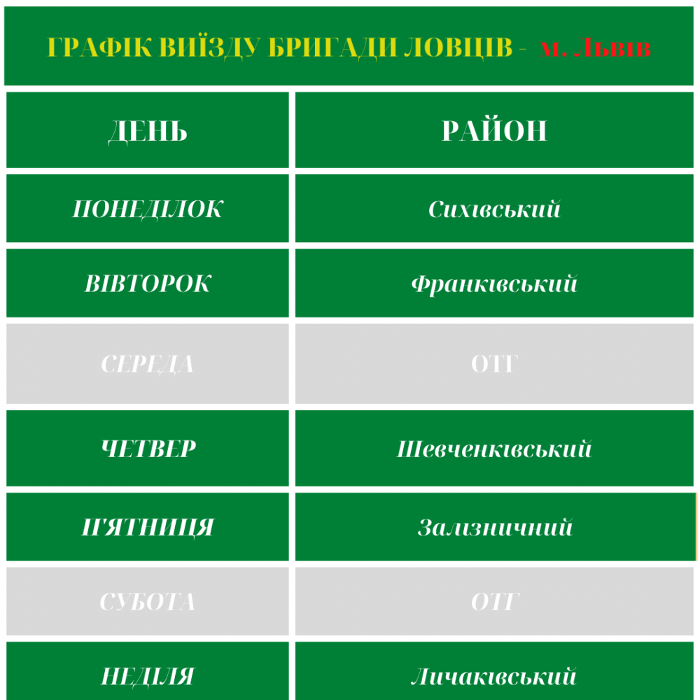 Фото: city-adm.lviv.ua