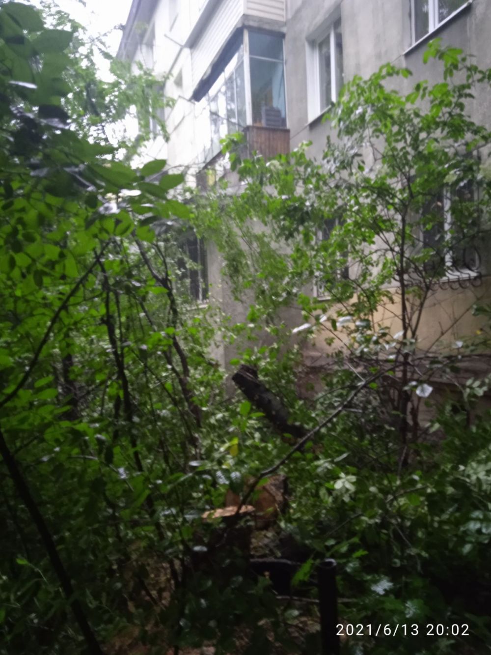 Фото: міськрада Львова