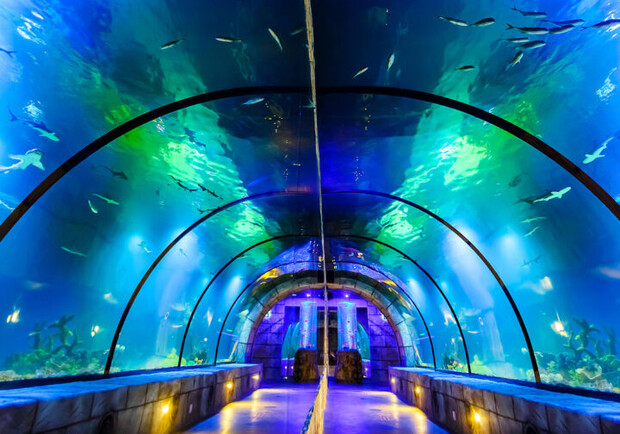 Фото: oceanarium.lviv.ua