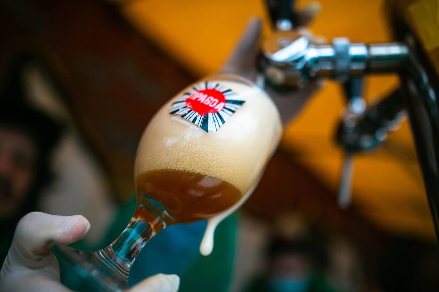 Craft Beer & Vinyl Music Festival : фото 3