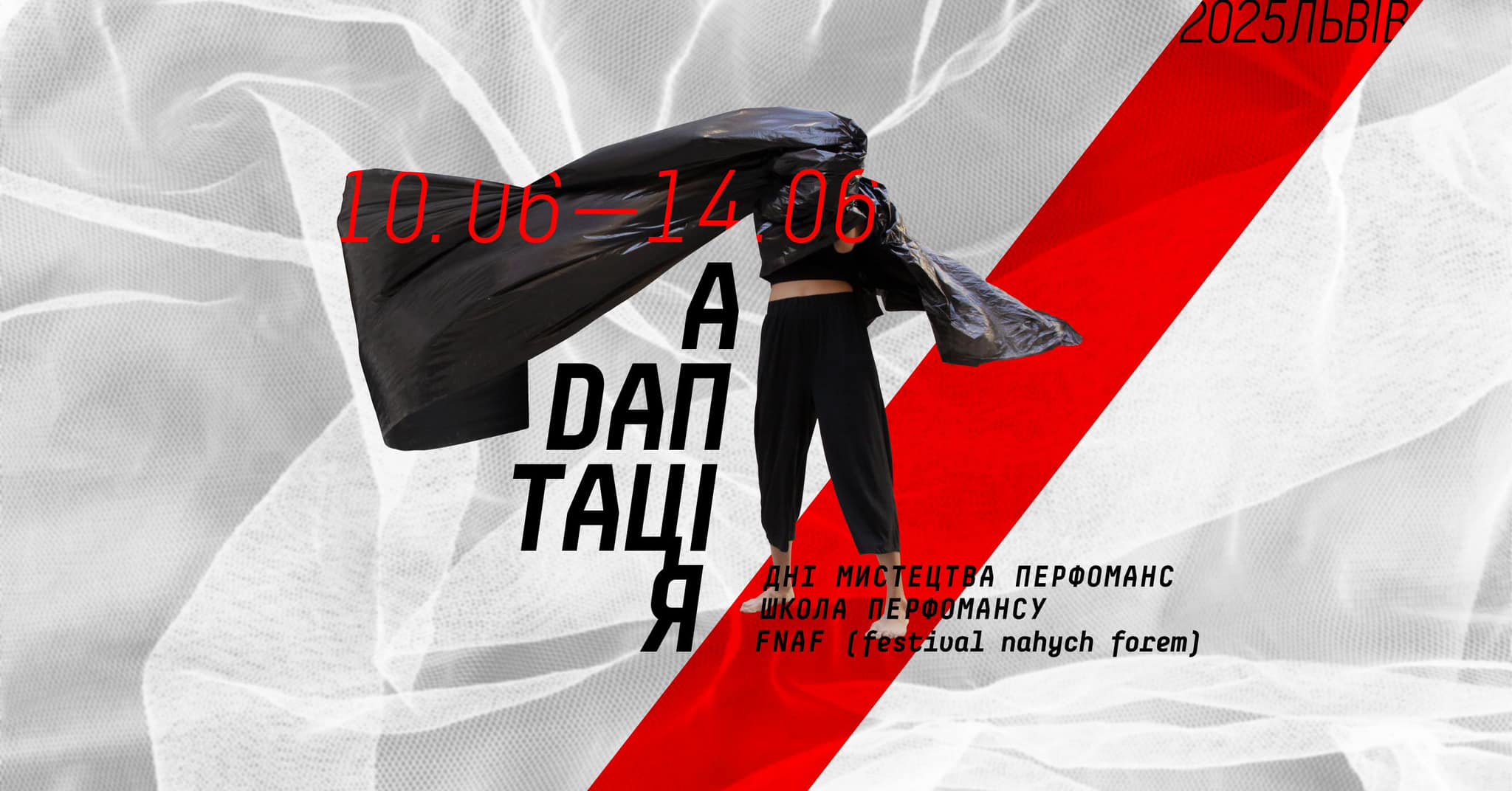 фото: facebook.com/csilviv