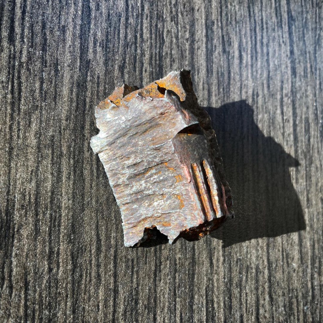 Анджеліна Джолі показала свої фото зі Львова