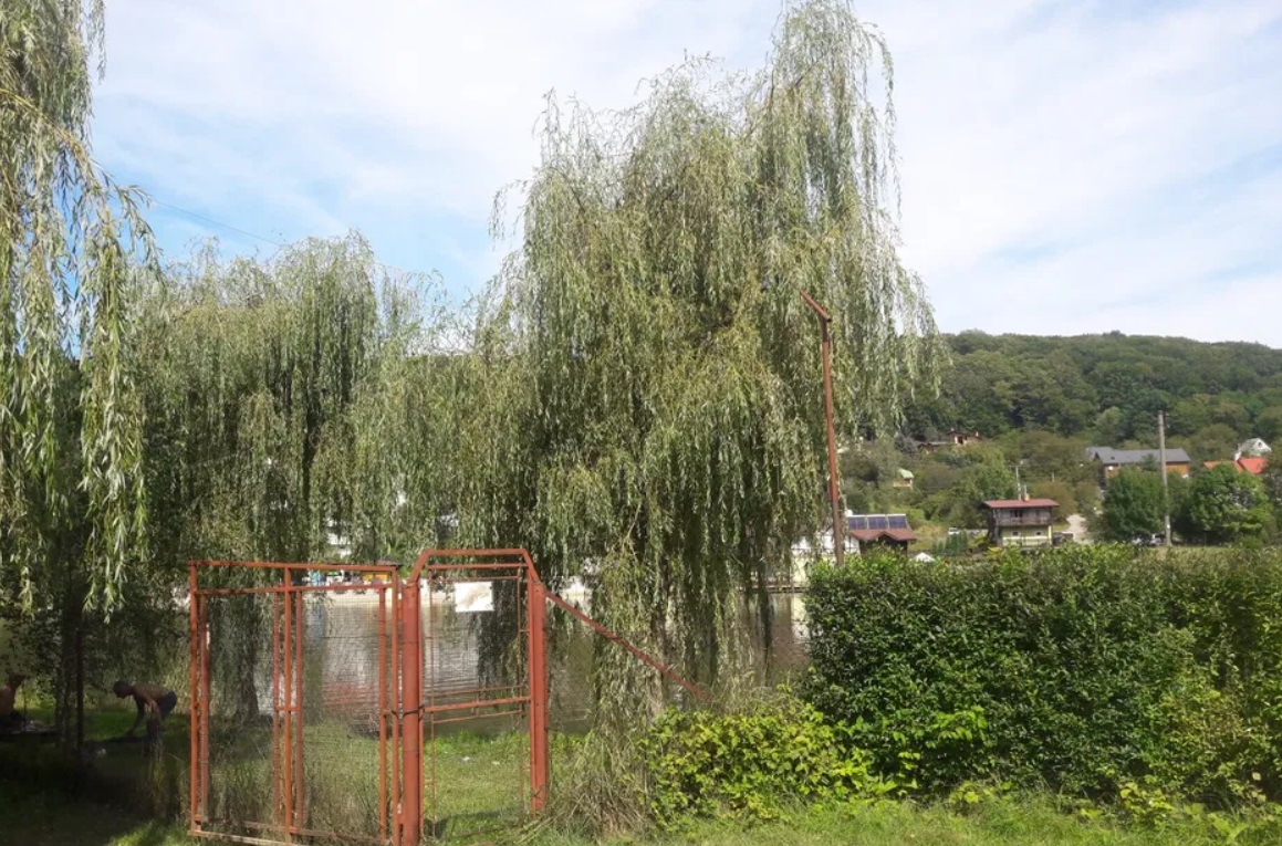 Найдешевші будинки у Львові