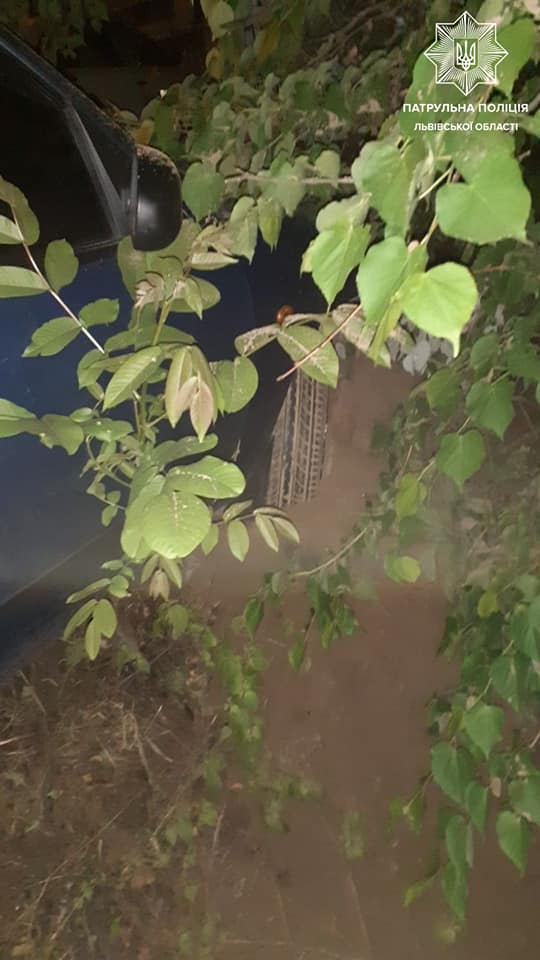 Авто злетіло з дороги. Фото поліції