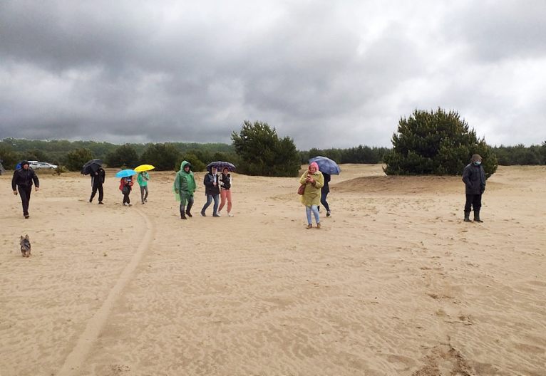 Пустеля на Львівщині “Бродівська Сахара”. Фото: Львів - місто натхнення