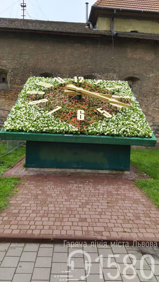 На площі Митній заквітчали годинник. Фото: Гаряча лінія міста Львова