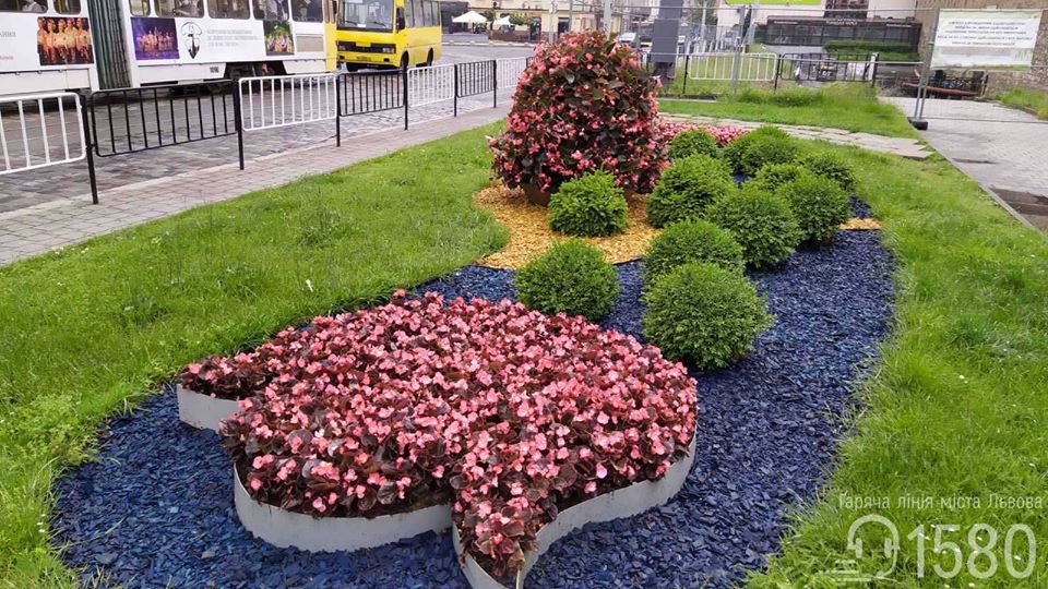 На площі Митній заквітчали годинник. Фото: Гаряча лінія міста Львова