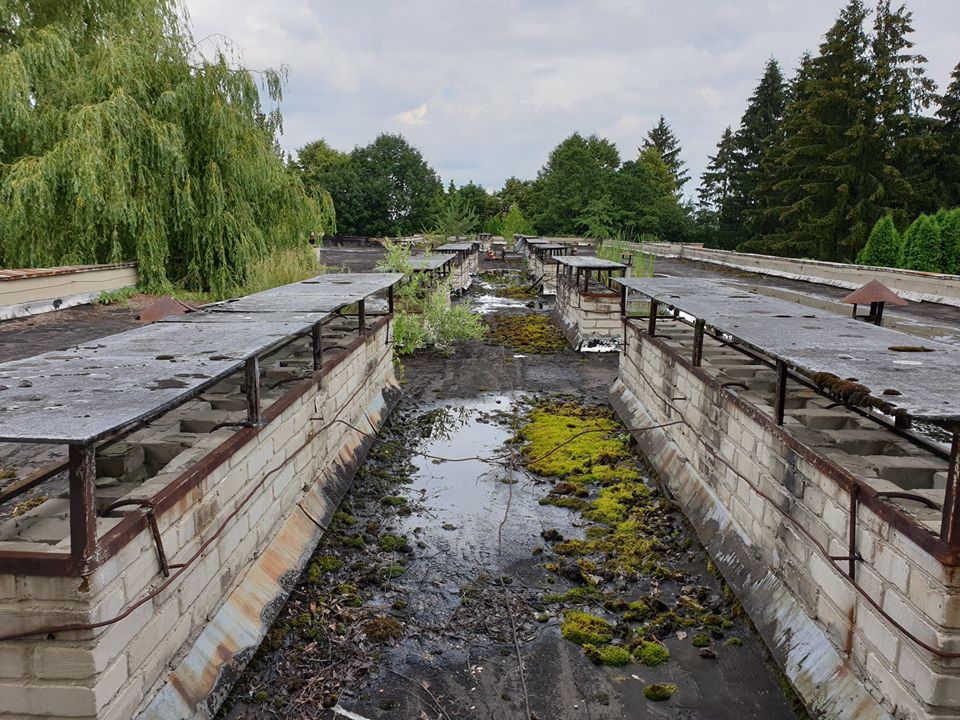 Майже Зона відчуження: з’явились моторошні фото закинутого санаторію «Сокіл» в Брюховичах фото 6 5