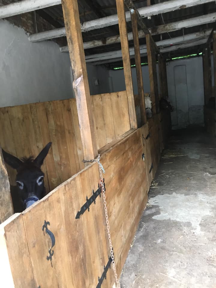 Нова стайня. Фото: Орест Залипський