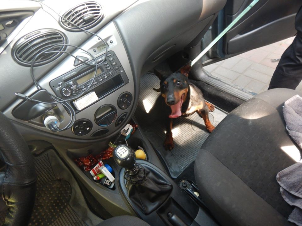 Наркотики в "Кіндері". Фото прикордонників