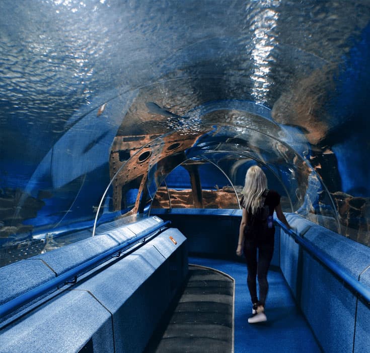 Океанаріум у Львові. Фото: oceanarium.lviv.ua