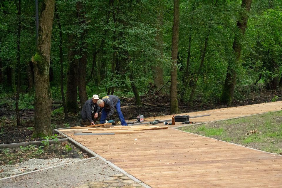 Як зміниться лісопарк Білогорща. Фото: ЛМР