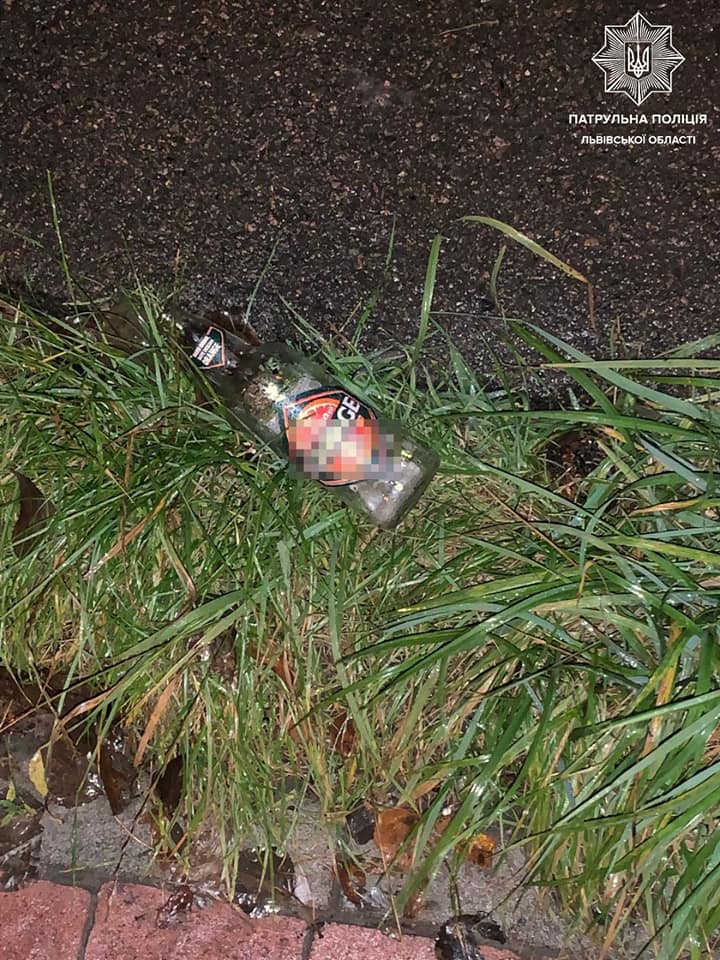 П‘яна львів’янка збила чоловіка та знесла огорожу. Фото поліції